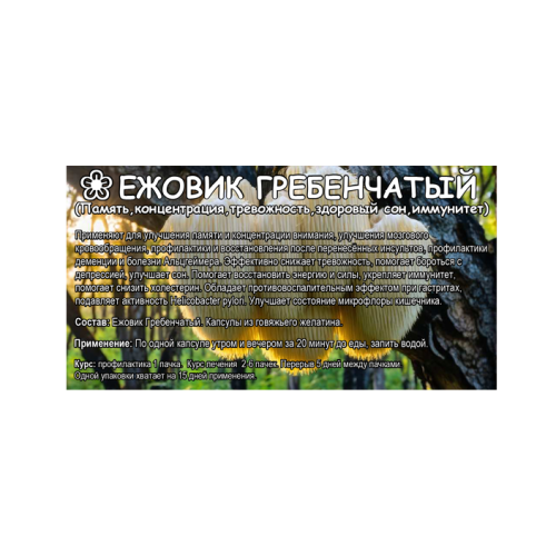 Ежовик гребенчатый капсулы