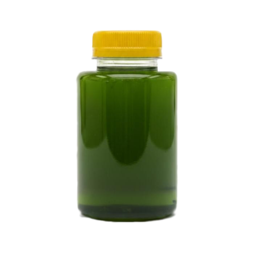 Живой сок горного лопуха